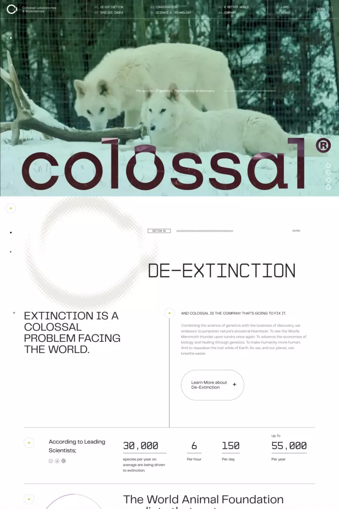 4279ad0235b4f981-colossal-com